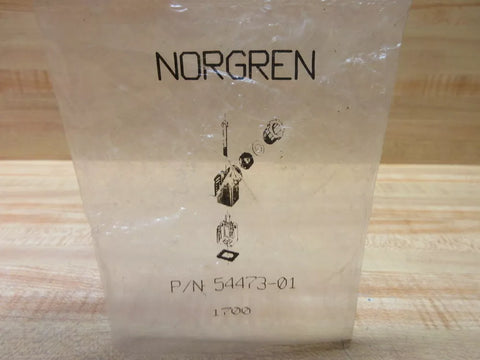 NORGREN 54473-01