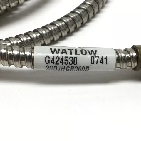 Watlow 30DJHGR060D