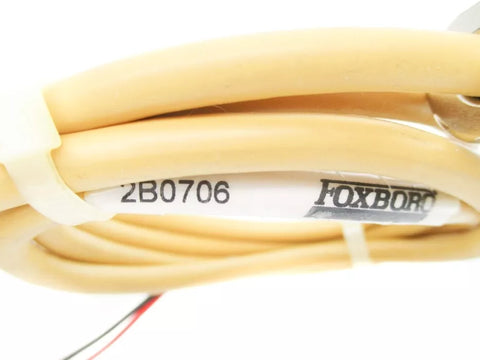 FOXBORO 2B0706