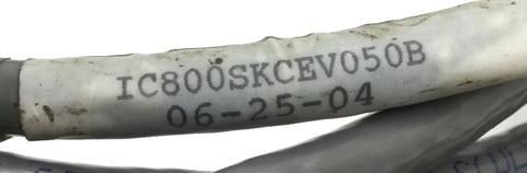 GE Fanuc IC800SKCEV050B